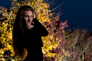 Similar image 1630096