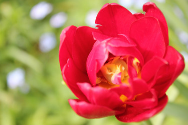 Similar image 1630099