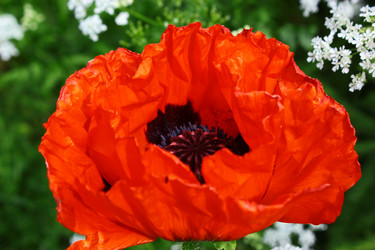 Similar image 1630100