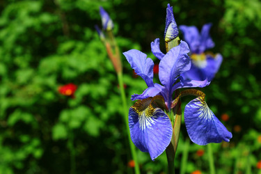 Similar image 1630101