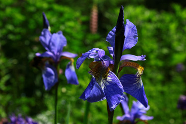 Similar image 1630102