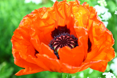 Similar image 1630103