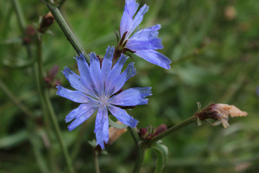 Similar image 1630123