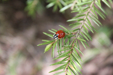 Similar image 1630142