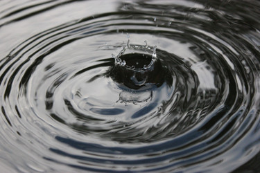 Similar image 1630143