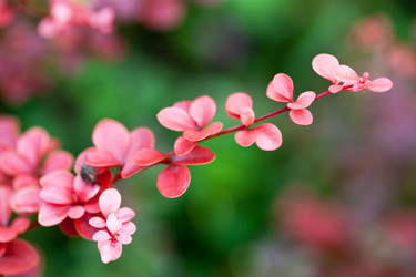 Similar image 1630306