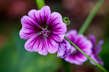 Similar image 1630307