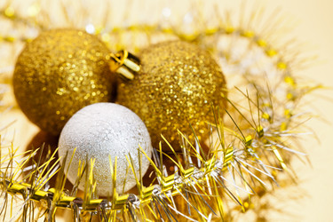 Similar image 1630317