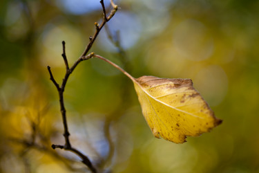 Similar image 1630322