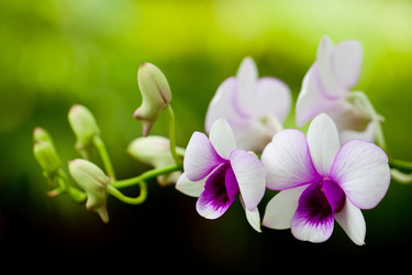 Similar image 1630343