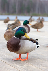 Similar image 1630489