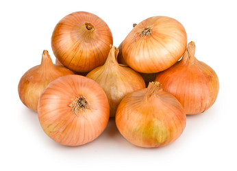 Similar image 1630544