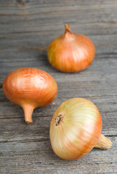 Similar image 1630546