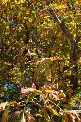 Similar image 1630589