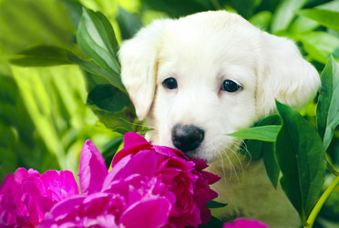 Similar image 1632315