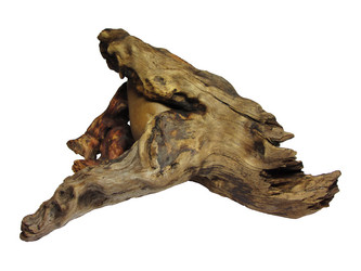 Similar image 1632650