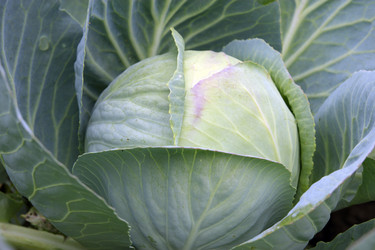 Similar image 1632706