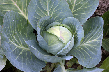 Similar image 1632708