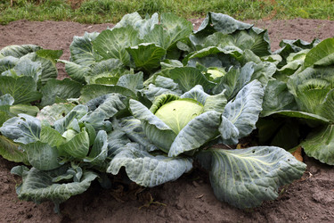 Similar image 1632733