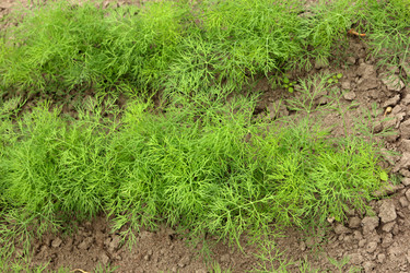 Similar image 1633168