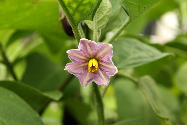 Similar image 1633169