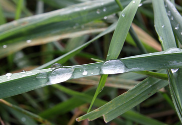 Similar image 1633170