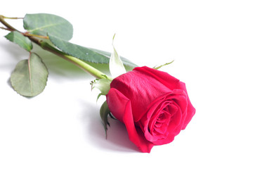 Similar image 1633172