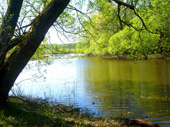 Similar image 1633563