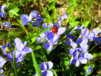 Similar image 1633643