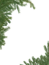 Similar image 1635561