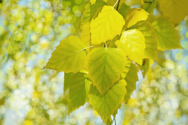 Similar image 1635563