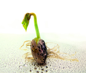 Similar image 1635779