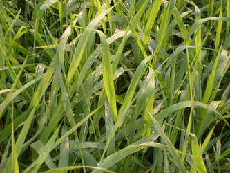 Similar image 1635802