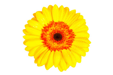 Similar image 1635829