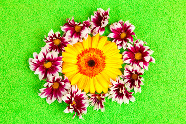 Similar image 1635832