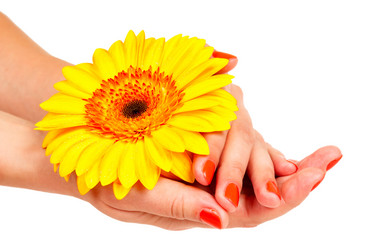 Similar image 1635836