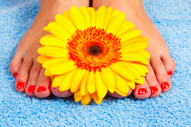 Similar image 1635840