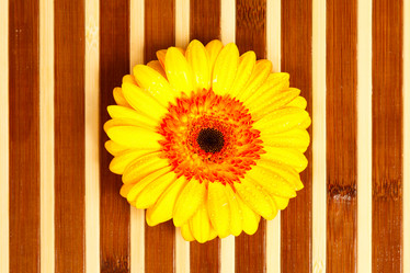 Similar image 1635855