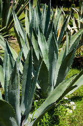 Similar image 1635931