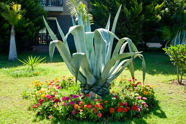 Similar image 1635932