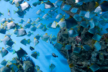 Similar image 1635939