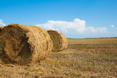 Similar image 1635943