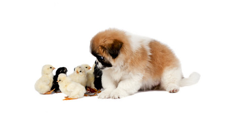 Similar image 1636253