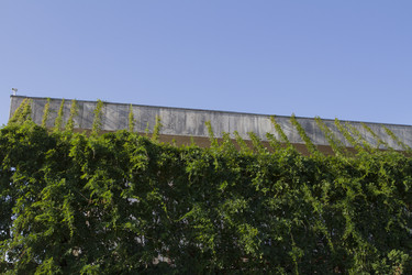 Similar image 1636720