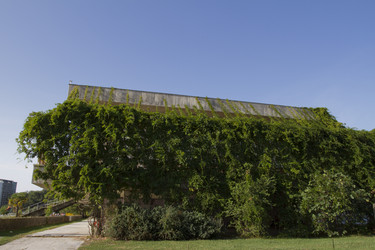 Similar image 1636722