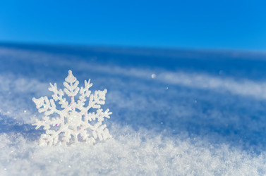 Similar image 1637056