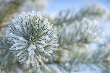 Similar image 1637057