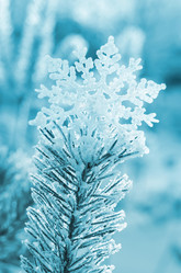 Similar image 1637059