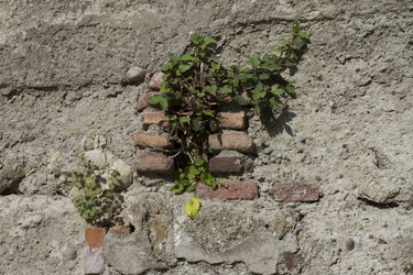 Similar image 1637061