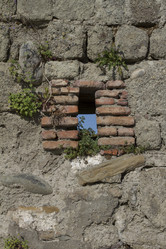 Similar image 1637062